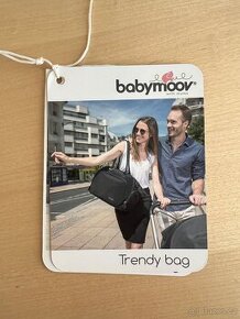 přebalovací taška zn. Babymoov - 10