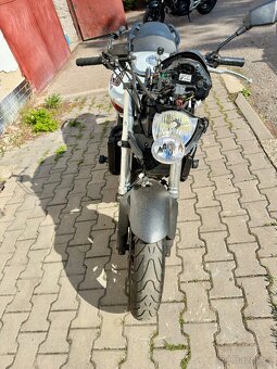 Honda cb 600 Hornet - 10
