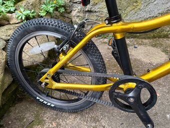 Kolo Rascal 16 Zlaté - 10