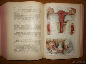 Stará kniha - Nový lékařský rádce - 10