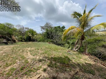 LOT 8 Bodden Bight Estate, Roatan - 10
