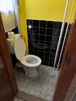 Prodej domu 250 m² s pozemkem 1 452 m² - 10