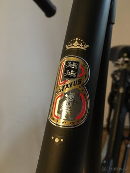Holandské kolo Batavus Old Dutch kolo - 10