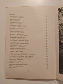Valašské Meziříčí od minulosti k dnešku - Jaroslav Hýbl - 10