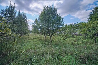 Prodej stavebního pozemku v obci Mikulovice - 10