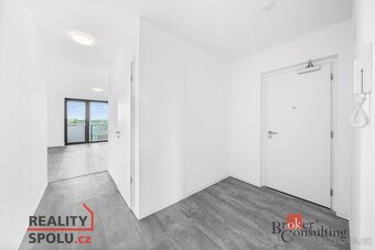 Pronájem, byty/4+kk, 118.49 m2, U Borského parku, Jižní Před - 10