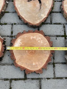 Držák jmenovek bříza - 10