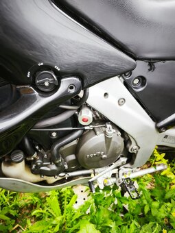 Aprilia Pegaso 650 Cube rv 99 - 10