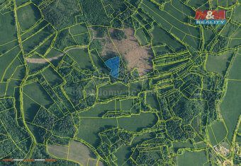 Prodej lesa, 5083 m², Zálezly - Setěchovice - 10