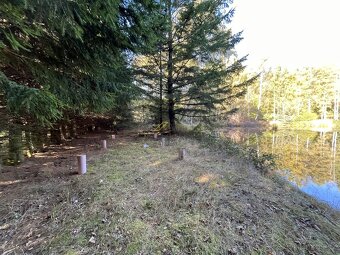 Prodej rybníku s pozemky, Klení, Benešov nad Černou - 10