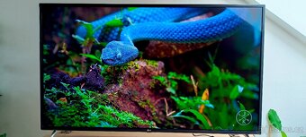 4K Smart LED TV LG 125cm, plně funkční bez poškození - 10