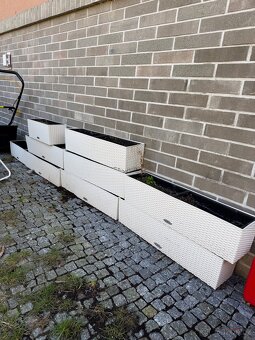 Truhlíky Lechuza Cottage - 10