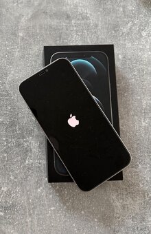 iPhone 12 pro Max 128GB stříbrný (bílý) - 10