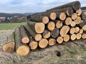 Dubové fošny 57mm - 10