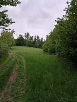 5 hektarů orná půda, pole, louky, - Kunštát - 10