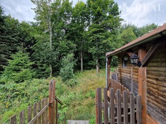 prodej, chata 294 m2, Klíny - 10
