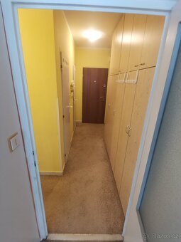 Byt 2+kk, Palachova, ZR - sklopné postele a vesta. skříně - 10