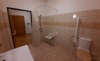 Pronájem bytu 1+KK - 10