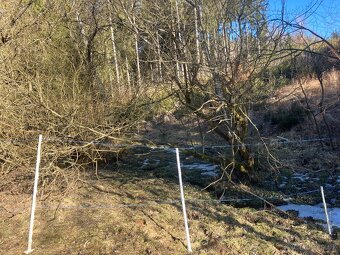 Daruji dřevo - STÁLE AKTUÁLNÍ - 10