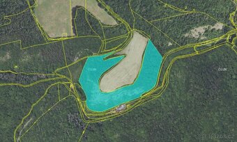 Prodám lesní pozemek v k.ú. Zadní Kopanina - 10