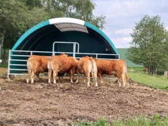 Plachtový přístřešek pro zvířata - SLEVA 10% - 10