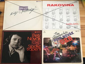 Prodám EP a LP - 10