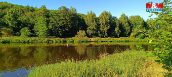 Prodej louky, 1665 m², Nižbor - 10