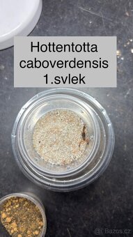 Štíři - aktuální nabídka říjen/listopad - 10