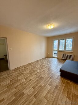 Pronájem bytu 2+1+L 55 m2 - 10