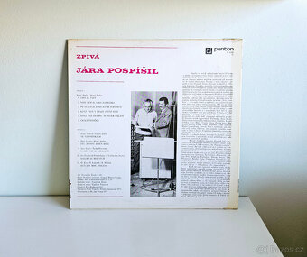 LP gramofonové desky III - 10