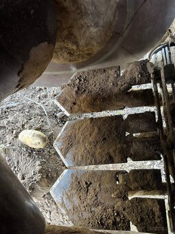 Grimme Europa standart - 10