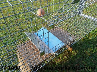 Past na lišky, kuny a toulavé kočky - 10