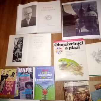 PRODÁM RŮZNÉ STARÉ KNIHY - UMĚNÍ HISTORIE, MÍSTOPIS AJ. - 10