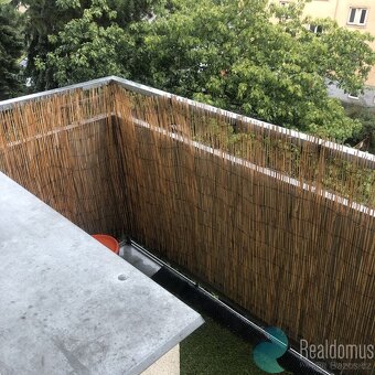 Pronájem, byt 1+1, Nerudova ul., České Budějovice, balkon, s - 10