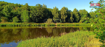 Prodej louky, 1665 m², Nižbor - 10