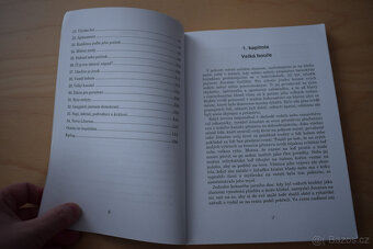 Podivuhodná dobrodružství Jonatana Gullibla - 10