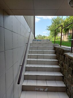 Pronájem bytu 1+1, 46 m2, Brno- Žilkova - 10