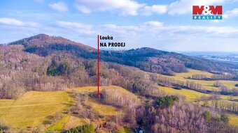 Prodej louky, 3251 m², Radeč u Horní Police, Žandov - 10