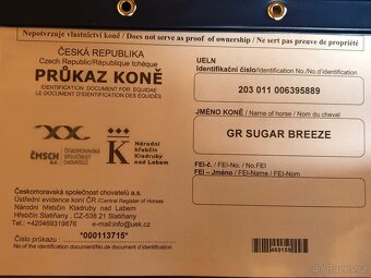 AQH hřebeček 2025 - 10