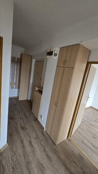 Pronajem bytu 3+1 Nerudova Bohumin - 10