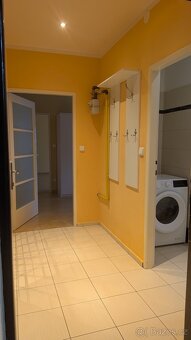 Pronájem, prostorný byt 1+1 53 m - 10