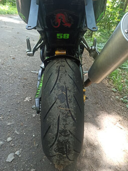 Kawasaki ZX-10R Ninja R.V.2004 - 10