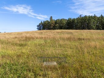 Prodej pozemku pro bydlení s projektem, 5 340 m2 - Hradce - 10