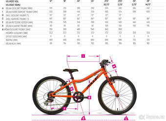 Dětské kolo 20 "- Amulet 20 Fun (2023) - 10