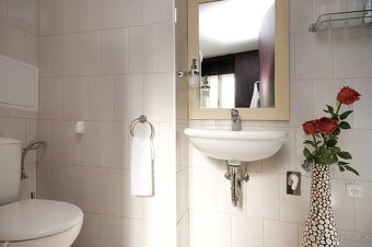 Pronájem bytu 1+1, Praha-1, 45 m² bez realitky - 10