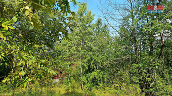 Prodej chaty a rekreační areál, 10875 m², Úštěk - 10