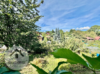 Prodej zahrádky s chatkou v žádané lokalitě Vrchlabí, zahrád - 10