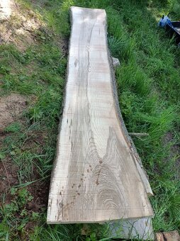 Stolařské fošny Jasan, Jilm - 10