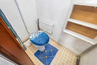 PRODEJ ZDĚNÉ CHATY SE ZAHRADOU, PLANÁ U Č. BUDĚJOVIC - 10