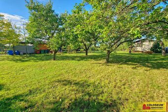 Dobšice, zahrada, ovocné stromy, zahradní domek, 721 m², – - 10